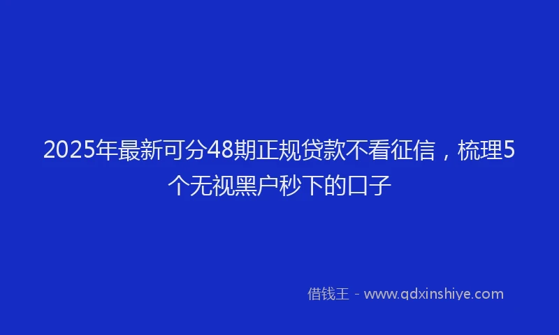 2025年最新可分48期正规贷款不看征信，梳理5个无视黑户秒下的口子