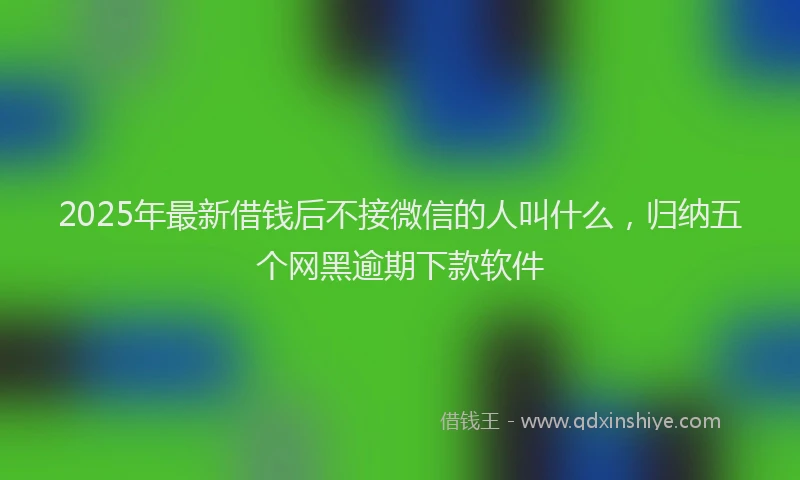 2025年最新借钱后不接微信的人叫什么，归纳五个网黑逾期下款软件