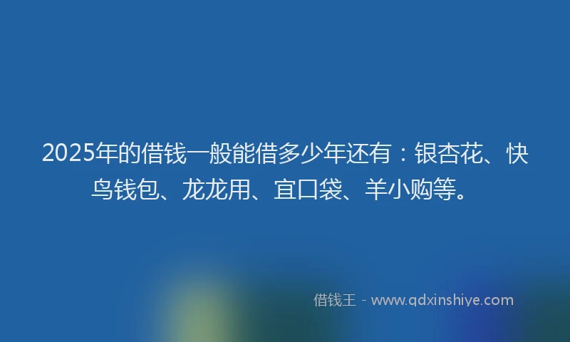 2025年的借钱一般能借多少年还有：银杏花、快鸟钱包、龙龙用、宜口袋、羊小购等。