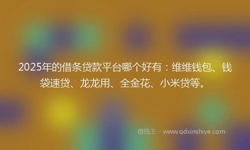 2025年的借条贷款平台哪个好有：维维钱包、钱袋速贷、龙龙用、全金花、小米贷等。