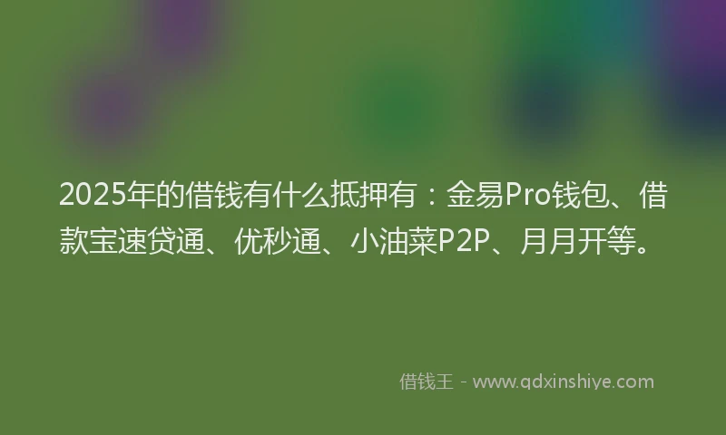 2025年的借钱有什么抵押有：金易Pro钱包、借款宝速贷通、优秒通、小油菜P2P、月月开等。