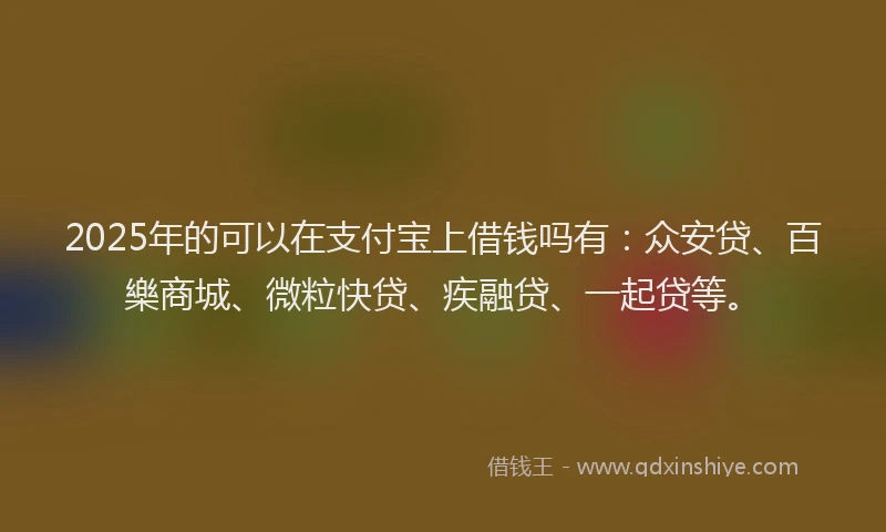 2025年的可以在支付宝上借钱吗有：众安贷、百樂商城、微粒快贷、疾融贷、一起贷等。