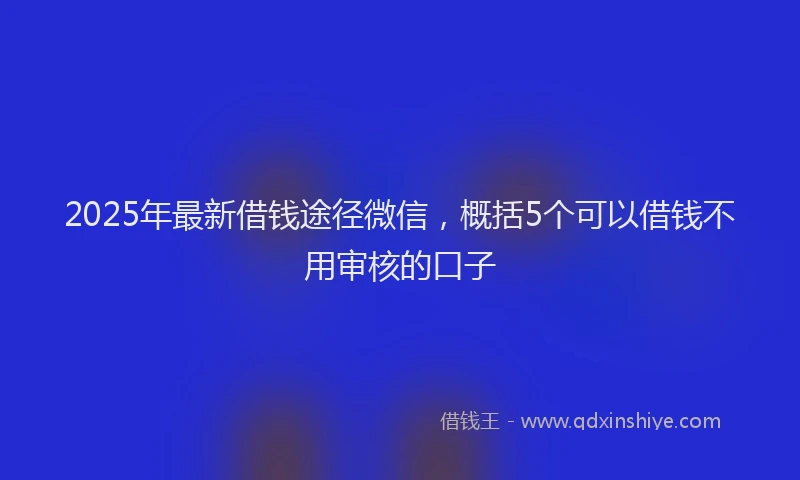 2025年最新借钱途径微信，概括5个可以借钱不用审核的口子