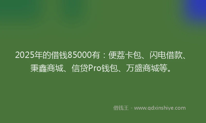 2025年的借钱85000有：便荔卡包、闪电借款、秉鑫商城、信贷Pro钱包、万盛商城等。