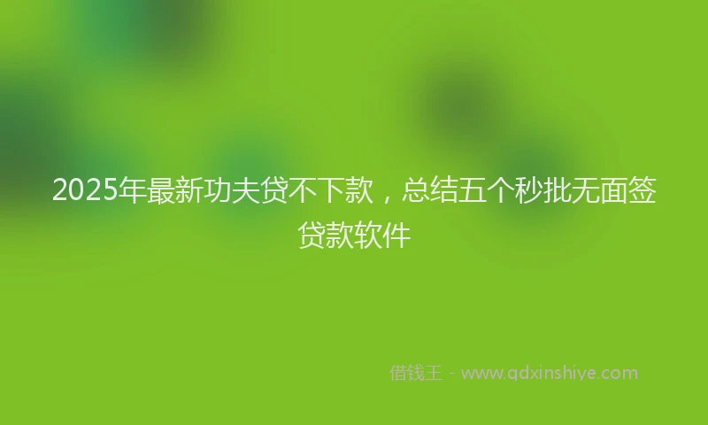 2025年最新功夫贷不下款，总结五个秒批无面签贷款软件