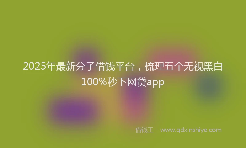 2025年最新分子借钱平台，梳理五个无视黑白100%秒下网贷app