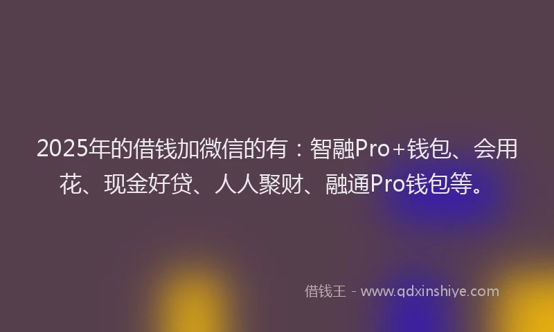 2025年的借钱加微信的有：智融Pro+钱包、会用花、现金好贷、人人聚财、融通Pro钱包等。