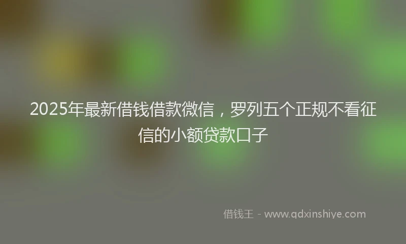 2025年最新借钱借款微信，罗列五个正规不看征信的小额贷款口子