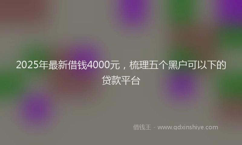 2025年最新借钱4000元，梳理五个黑户可以下的贷款平台