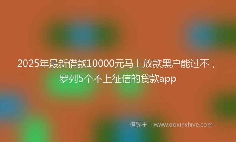 2025年最新借款10000元马上放款黑户能过不，罗列5个不上征信的贷款app
