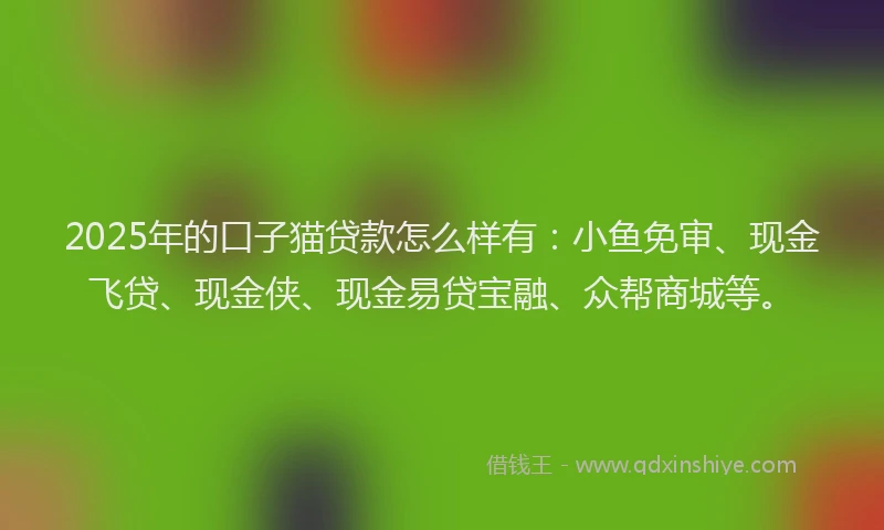 2025年的口子猫贷款怎么样有：小鱼免审、现金飞贷、现金侠、现金易贷宝融、众帮商城等。