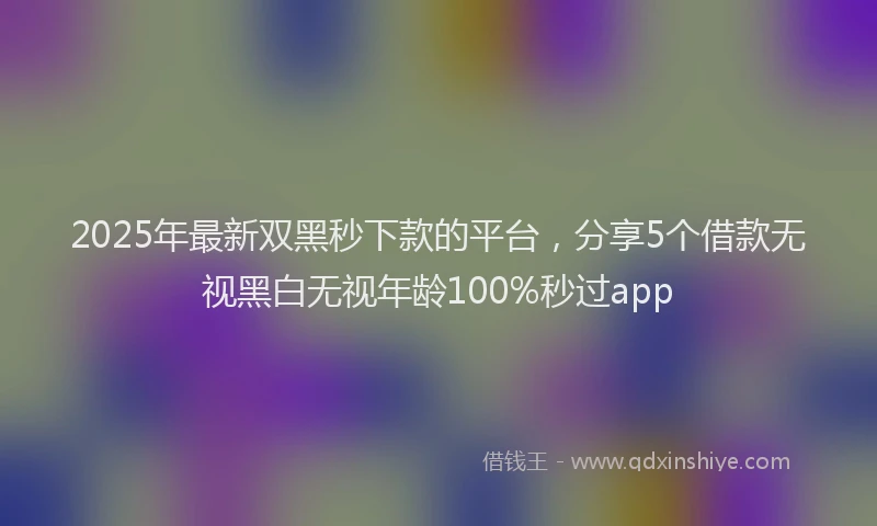 2025年最新双黑秒下款的平台，分享5个借款无视黑白无视年龄100%秒过app