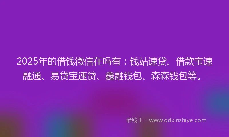 2025年的借钱微信在吗有：钱站速贷、借款宝速融通、易贷宝速贷、鑫融钱包、森森钱包等。