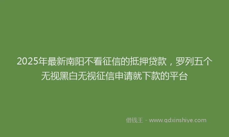2025年最新南阳不看征信的抵押贷款，罗列五个无视黑白无视征信申请就下款的平台