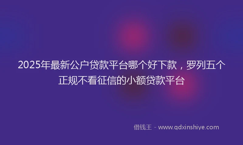 2025年最新公户贷款平台哪个好下款，罗列五个正规不看征信的小额贷款平台