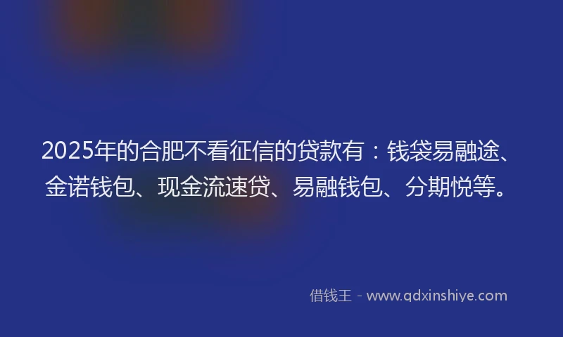 2025年的合肥不看征信的贷款有：钱袋易融途、金诺钱包、现金流速贷、易融钱包、分期悦等。