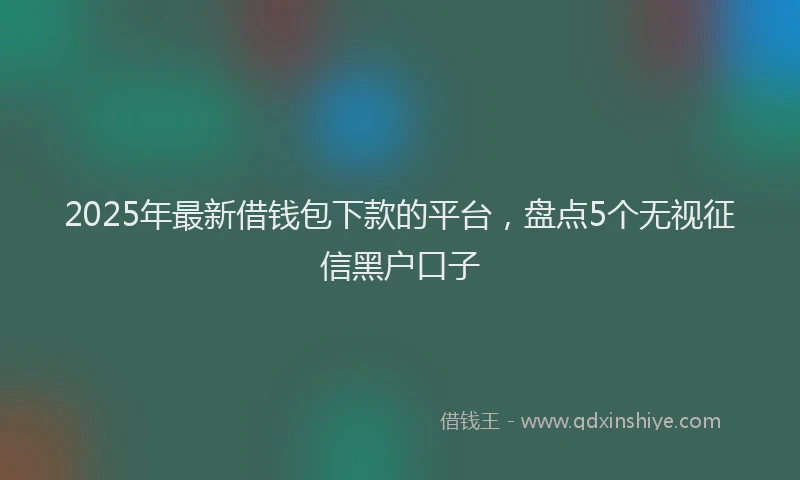 2025年最新借钱包下款的平台，盘点5个无视征信黑户口子