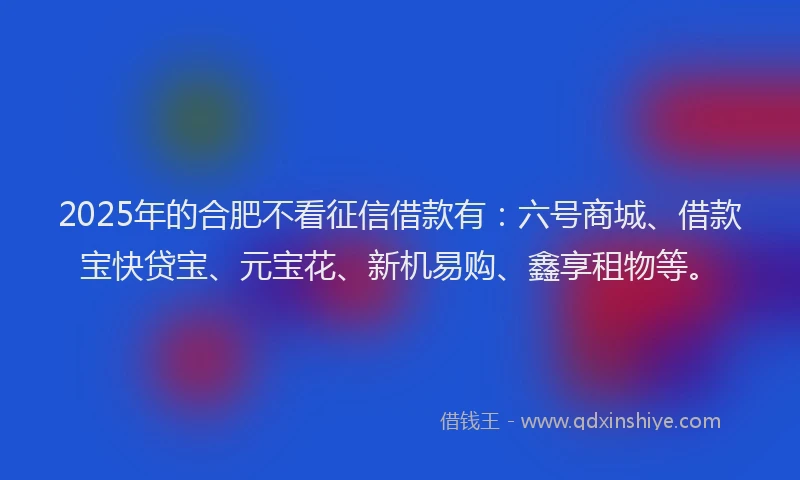 2025年的合肥不看征信借款有：六号商城、借款宝快贷宝、元宝花、新机易购、鑫享租物等。