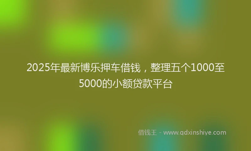2025年最新博乐押车借钱，整理五个1000至5000的小额贷款平台
