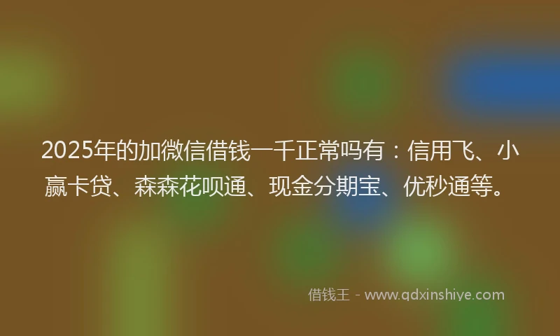 2025年的加微信借钱一千正常吗有：信用飞、小赢卡贷、森森花呗通、现金分期宝、优秒通等。