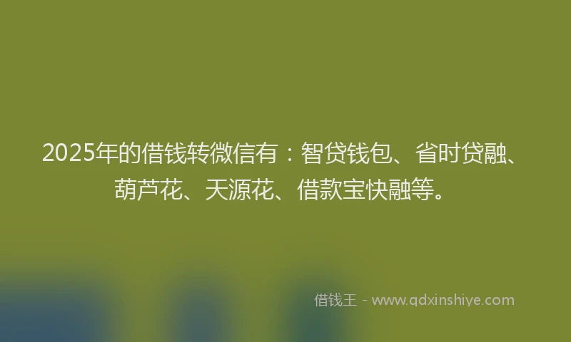 2025年的借钱转微信有：智贷钱包、省时贷融、葫芦花、天源花、借款宝快融等。