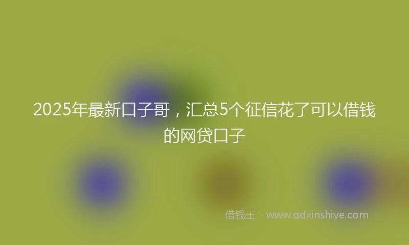 2025年最新口子哥，汇总5个征信花了可以借钱的网贷口子