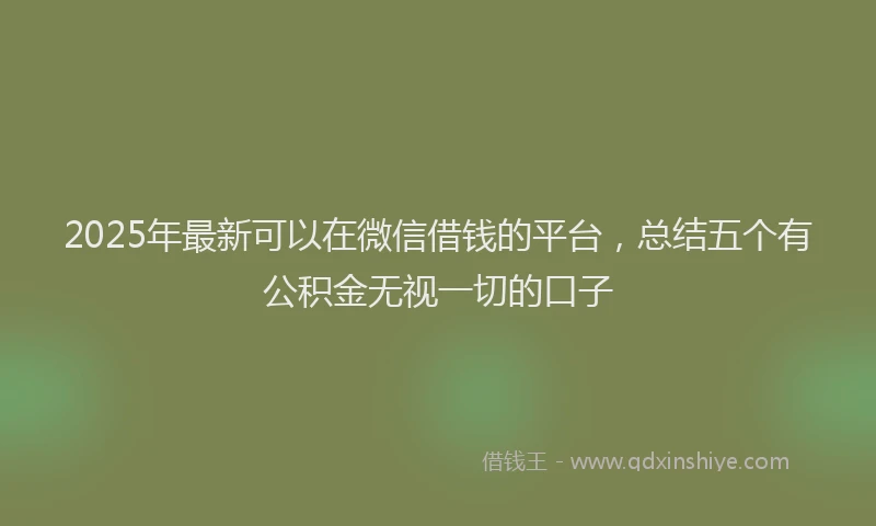 2025年最新可以在微信借钱的平台，总结五个有公积金无视一切的口子