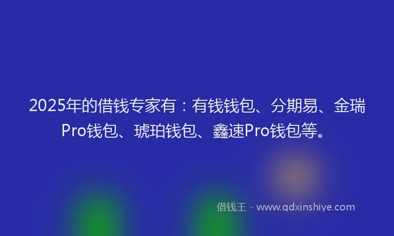 2025年的借钱专家有：有钱钱包、分期易、金瑞Pro钱包、琥珀钱包、鑫速Pro钱包等。