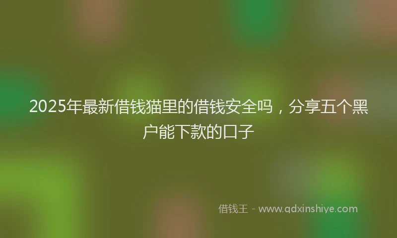 2025年最新借钱猫里的借钱安全吗，分享五个黑户能下款的口子