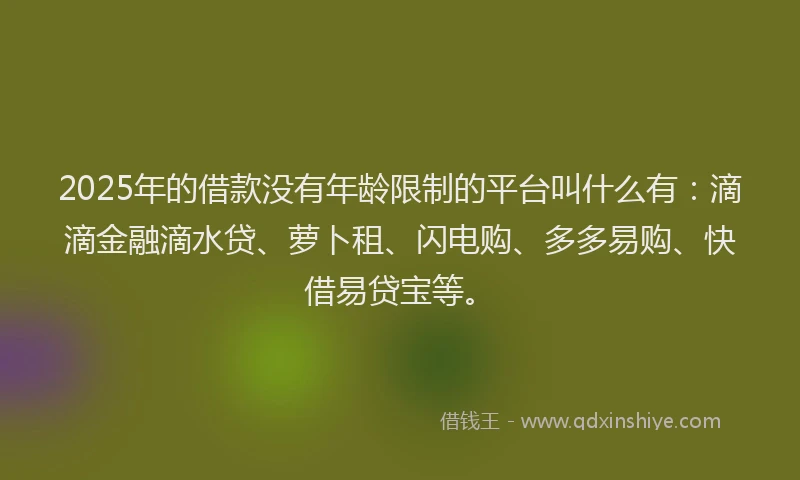 2025年的借款没有年龄限制的平台叫什么有：滴滴金融滴水贷、萝卜租、闪电购、多多易购、快借易贷宝等。