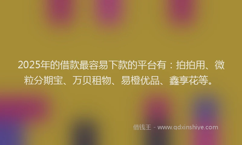 2025年的借款最容易下款的平台有：拍拍用、微粒分期宝、万贝租物、易橙优品、鑫享花等。