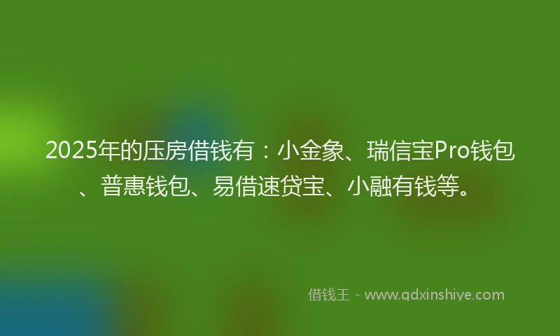 2025年的压房借钱有：小金象、瑞信宝Pro钱包、普惠钱包、易借速贷宝、小融有钱等。