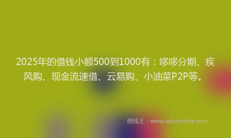 2025年的借钱小额500到1000有：哆哆分期、疾风购、现金流速借、云易购、小油菜P2P等。