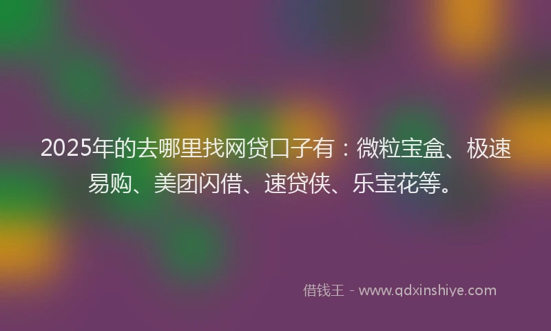 2025年的去哪里找网贷口子有：微粒宝盒、极速易购、美团闪借、速贷侠、乐宝花等。
