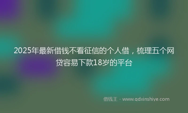 2025年最新借钱不看征信的个人借，梳理五个网贷容易下款18岁的平台