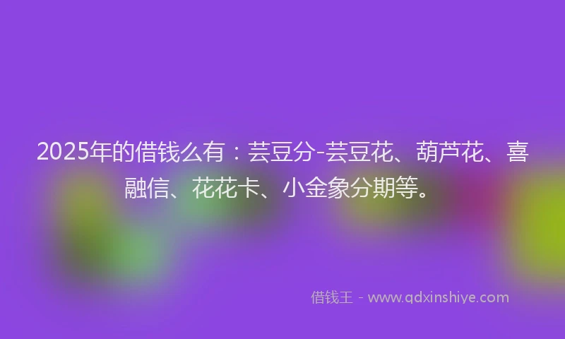2025年的借钱么有：芸豆分-芸豆花、葫芦花、喜融信、花花卡、小金象分期等。