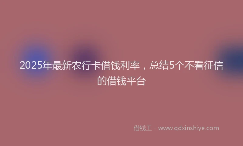 2025年最新农行卡借钱利率，总结5个不看征信的借钱平台