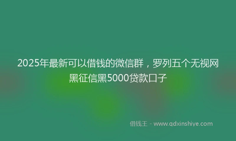 2025年最新可以借钱的微信群，罗列五个无视网黑征信黑5000贷款口子