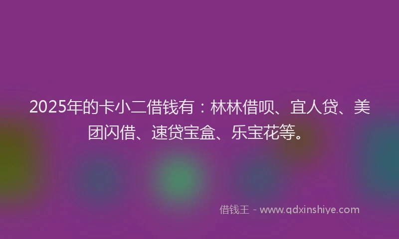 2025年的卡小二借钱有：林林借呗、宜人贷、美团闪借、速贷宝盒、乐宝花等。