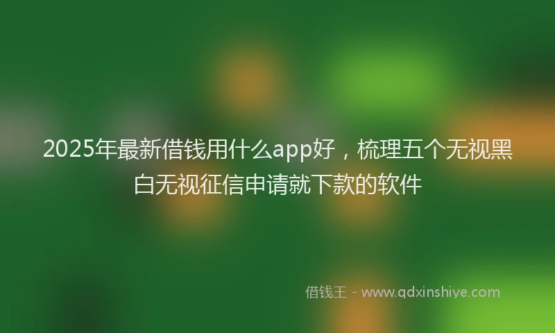 2025年最新借钱用什么app好，梳理五个无视黑白无视征信申请就下款的软件