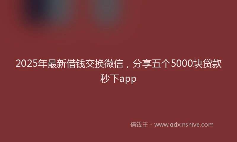 2025年最新借钱交换微信，分享五个5000块贷款秒下app