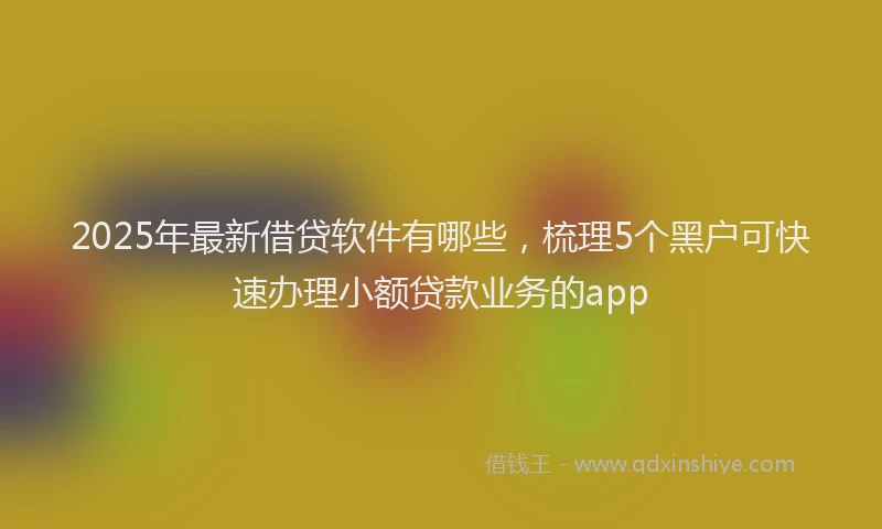 2025年最新借贷软件有哪些，梳理5个黑户可快速办理小额贷款业务的app
