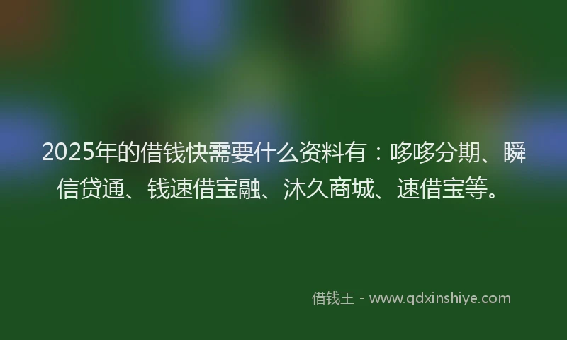 2025年的借钱快需要什么资料有：哆哆分期、瞬信贷通、钱速借宝融、沐久商城、速借宝等。
