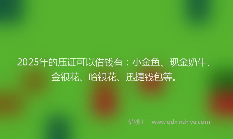 2025年的压证可以借钱有：小金鱼、现金奶牛、金银花、哈银花、迅捷钱包等。