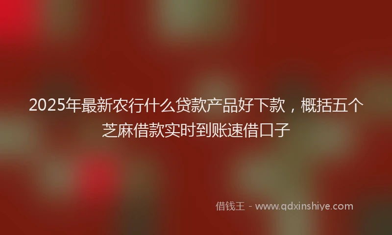 2025年最新农行什么贷款产品好下款，概括五个芝麻借款实时到账速借口子