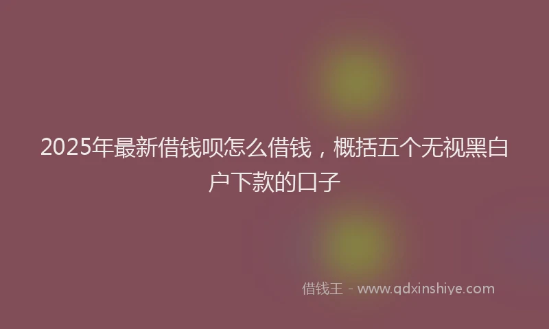 2025年最新借钱呗怎么借钱，概括五个无视黑白户下款的口子