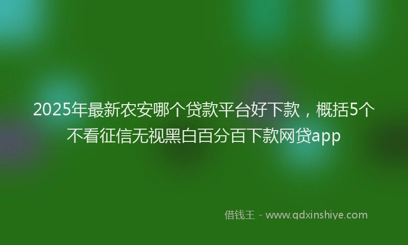 2025年最新农安哪个贷款平台好下款，概括5个不看征信无视黑白百分百下款网贷app