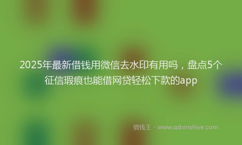 2025年最新借钱用微信去水印有用吗，盘点5个征信瑕疵也能借网贷轻松下款的app