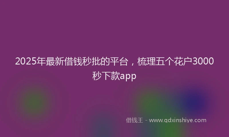 2025年最新借钱秒批的平台，梳理五个花户3000秒下款app