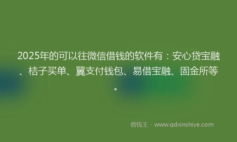 2025年的可以往微信借钱的软件有：安心贷宝融、桔子买单、翼支付钱包、易借宝融、固金所等。